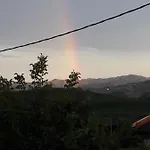 Holydays Little Frog 阿利亚诺泰尔梅
