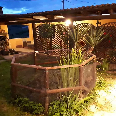 Сasa de vacaciones Holydays Little Frog *